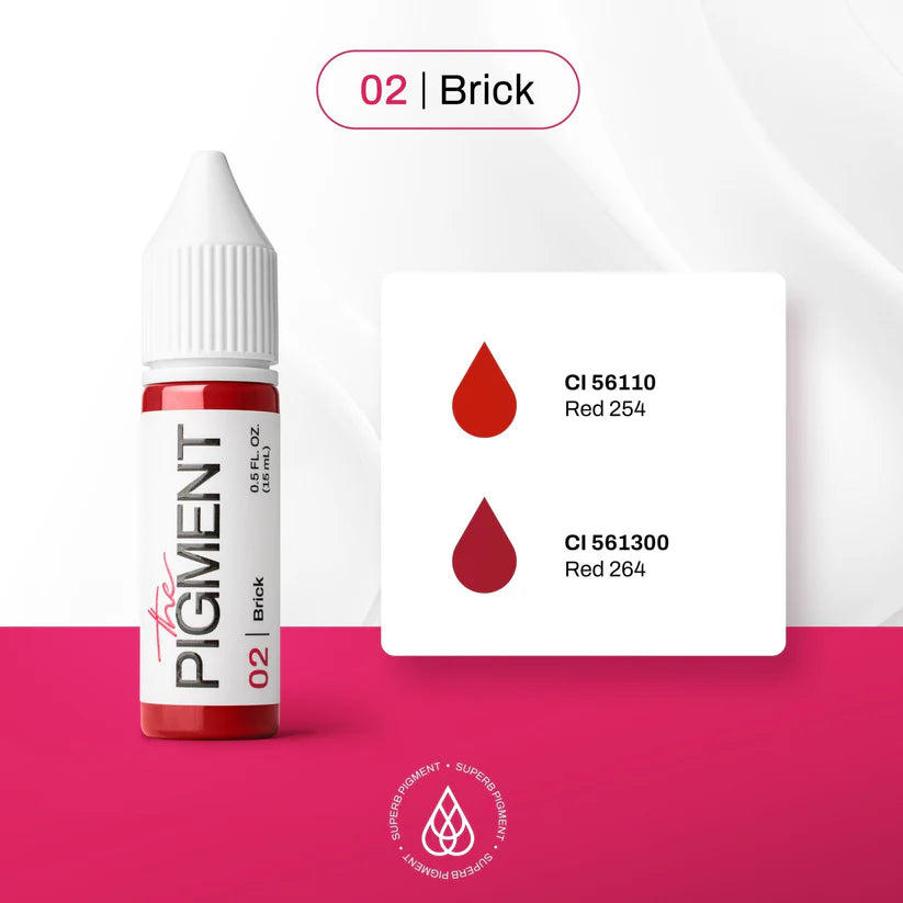 Profesionalni pigment za usne 02 Brick – The Pigment Hrvatska