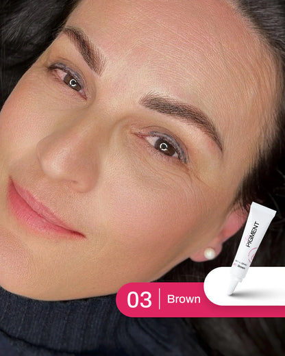 The Pigment Brown 3 – aplikacija na modelu